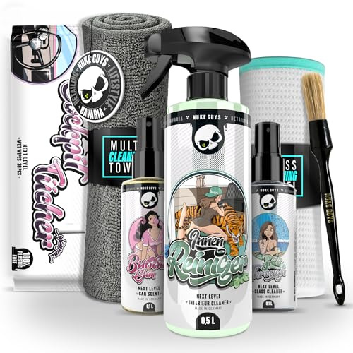Nuke Guys Set di pulizia per interni auto | detergente per interni + detergente per vetri + panno per finestra + profumo auto + panni per cruscotto opaco + pennello dettagliato + panno in microfibra |