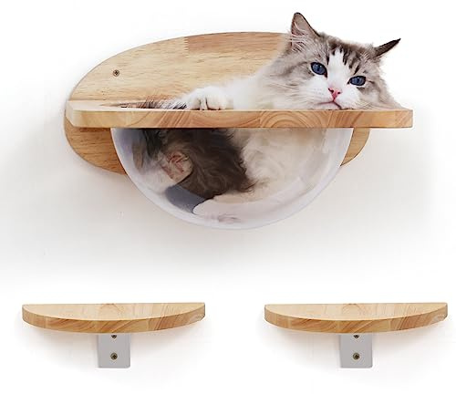 FUKUMARU Väggmöbler för katter, genomskinliga katthyllor och sittpinnar för vägg – premium kattsäng för att sova, leka, klättra och slappa – rymmer enkelt upp till 15,9 kg