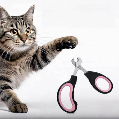 Generisch Krallenschere Katzen Schere für Anfänger toll geeignet,PremiumKrallenschere Liegt gut in der Hand, Katzen nagelschere ist sehr einfach und sicher anzuwenden!!