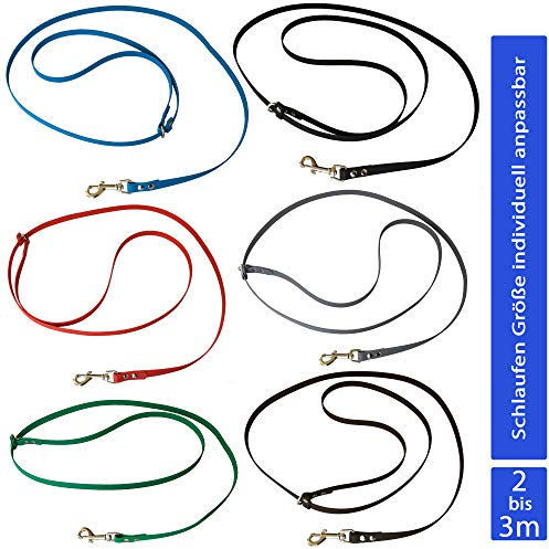 Umhängeleine Joggingleine 3m aus Biothane, Hundeleine für mittlere und große Hunde I schmutz- und Wasserabweisende Hundeumhängeleine I Grau