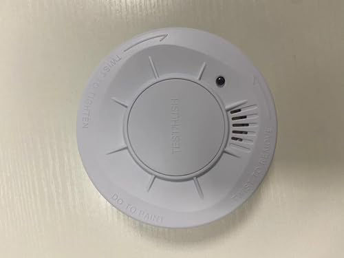 LIORQUE Détecteur de Fumée, Capteur 10 Ans, Pile Remplaçable 5 Ans de Batterie, Bouton Test/Silence, 85 DB, Conforme à la Norme EN14604, Blanc, 2 pièces