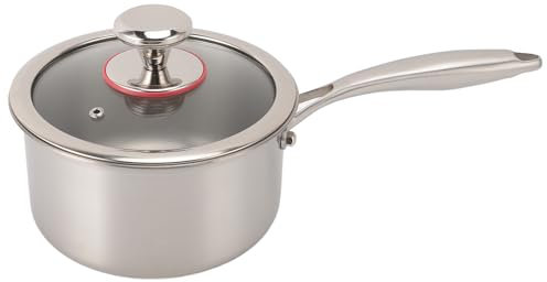Olla de Leche, Cacerola Antiadherente con Tapa de Vidrio, Calentador de Mantequilla Pequeño Multiusos para Calentar Porciones Líquidas Más Pequeñas