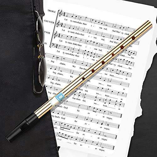 Aumotop Irish Whistle Flöjtnyckel Av D 6 Hål Flöjt Blåsmusikinstrument för Nybörjare Intermediärer Guld Seamless Steel Portable (Nyckel till D)