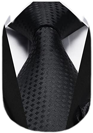 HISDERN Cravate Homme à Carreaux Élégante Formelle Classique Couleur Unie Cravates Hommes et Mouchoir pour Mariage d'affaires Fete