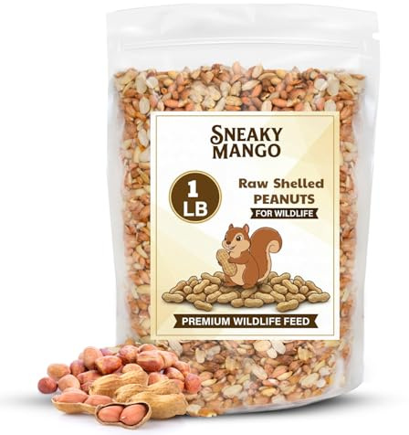 Sneaky Mango Raw Out of Shell Peanuts - 1 Pound - Shelled Peanuts for Birds – Wildlife Quality - Food for Squirrels, Deer, Birds, and Other Wildlife Animals – Grown in The USA