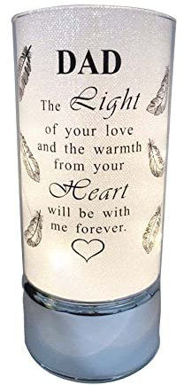 Memorial Light Tubes Ornament, Perfect for Garden and Graveside for Any Special Occasion in The Memory of Dad, Mum, Son, Daughter, Husband, Wife, Grandad, Nan, Brother, Sister. (20cm) (Dad)