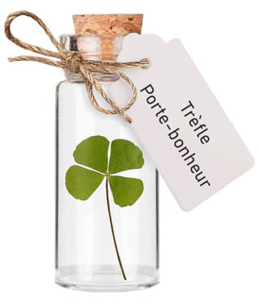 Mister Curiosities Trèfle à 4 feuilles porte-bonheur dans une fiole en verre pour porter chance, cadeau grigri pour célébrer amour, amitié ou pour un cabinet de curiosités