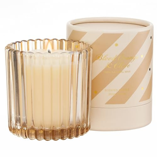 M&SENSE Blutorangen Klove Duftkerzen im Glas bis zu 60 Std Brenndauer Weihnachtskerze natürliches Sojawachs entspannende Aromatherapie-Kerze Weihnachts- und Herbstgeschenke MSSD0204 BloodOrangeClove