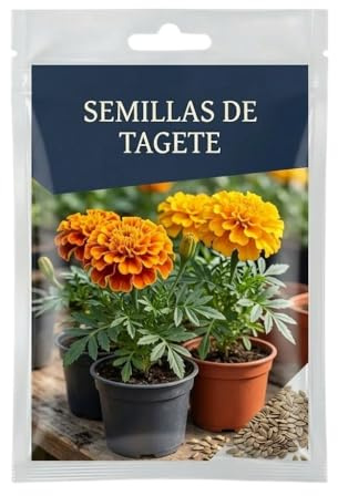 DECOALIVE Tagete para Macetas y Jardines | Semillas de Tagete con Floración Decorativa para Espacios Exteriores