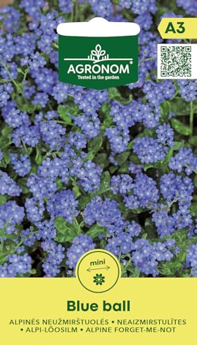 AGRONOM | Graines de Myosotis des Alpes - BLUE BALL | Graines de fleurs | Graines de plantes | Plantes vivaces, de 10 à 20 cm de haut, à floraison longue et abondante | Graines de jardin | 1 paquet