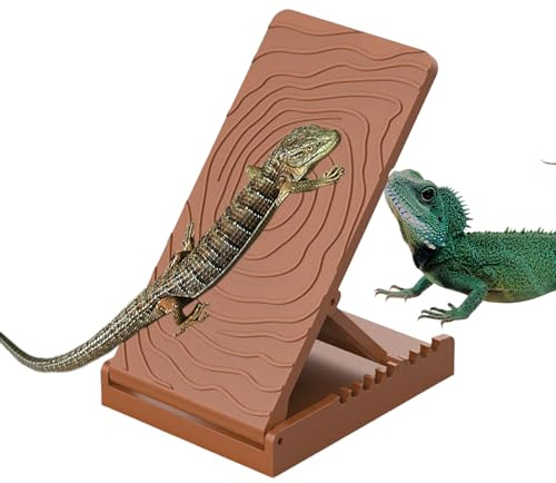 Rampe d'escalade pour Reptiles - Marche Escalade pour Dragons Barbus,Accessoires Terrarium pour Animaux de Compagnie Lézards Geckos Serpents Jeu Repas