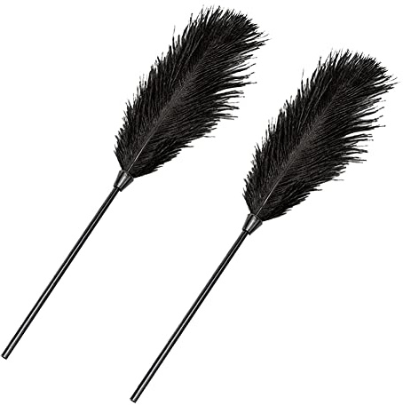 2 Pcs Feather Tickler for Play Faux Feather Teaser Cosplay Show French Tickler Crop Bedroom Accessories Adult Role Play Couples Teasing Tool