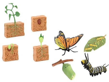 Life Cycle Set Figurine Giocattoli Farfalla e Fagioli Piante Scienza per Bambini