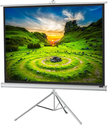 celexon Economy Stativ-Leinwand weiß 120 | 244x183 cm 4:3 | mobil transportable 4K, Full-HD Beamerleinwand mit manuellem Rollauszug für Heimkino, Büro & Outdoor | inkl. Standfuß + Tragegriff
