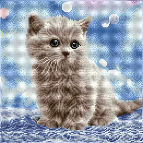 DIAMOND DOTZ DQ8.020 - Original 5D Diamond Painting Squares Set Katze Bubbles, Kreativset mit 16.641 quadratische Diamant Mosaiksteinen, Malset ca. 34,5 x 34,5cm für Erwachsene und Kinder ab 8 Jahren