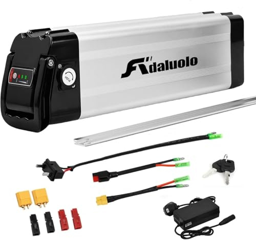 Adaluolo Batería Ebike, 36V 20AH Batería Bicicleta Eléctrica Plata E-Bike Pedelec Bateríe Iones Litio Extraíble 2 Pin con Cargador para 350W 500W 750W 900W Motor