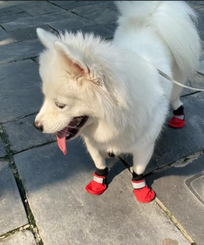 Vibrant Fellow Dog Shoes Warm for Winter Walking, Paw Protector Dog Boots Soft Protective, Dog Booties Skid-proof, Set of 4, Size XS Colour Red