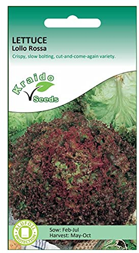 Vegetable Seeds (Lettuce Lollo Rossa)