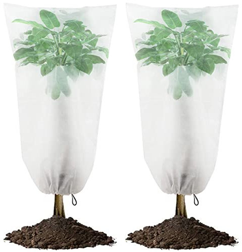 2 pezzi Copri Piante Esterno Tessuto Non Tessuto per Piante 120x80cm Antigelo Teli Protettivi per Piante 180x120cm Copertura Piante Invernale