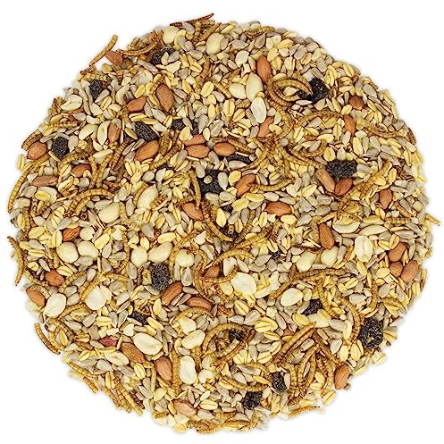 vogeltreff24 Premium-Futtermix schalenfrei für Wildvögel - hochwertiges Wildvogelfutter zur ganzjährigen Fütterung, 25 kg
