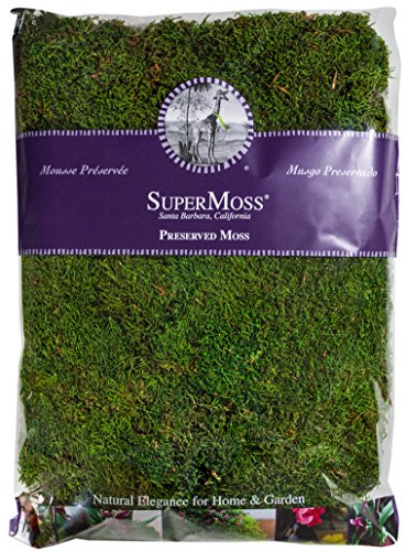 Super Moss 21513 Preserved Sheet Moss, Fresh Green, 16-Ounce