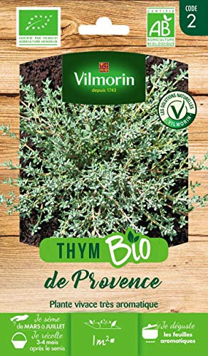 Vilmorin - Thym de Provence Bio - Plante aromatique bisannuel - incourtournable de la Cuisine méridionale -