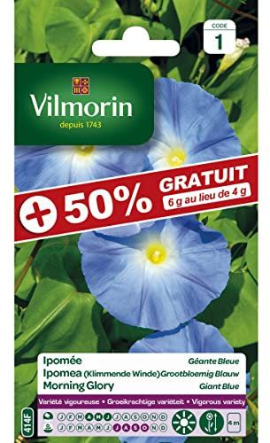 Vilmorin - sachet graines Ipomée Géante bleue +50% Gratuit - Ipomoea tricolor