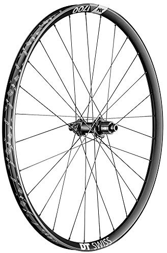 DT Swiss Unisex – Erwachsene XM 1700 Laufräder, Silber, 29/30mm