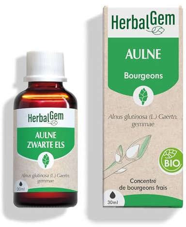 HERBALGEM - Macérât-Mère - Aulne Bio - Complément Alimentaire Gemmothérapie Concentrée - Extrait De Bourgeon Frais - Pour Défenses Naturelles & Circulation - Vegan - 30 ml