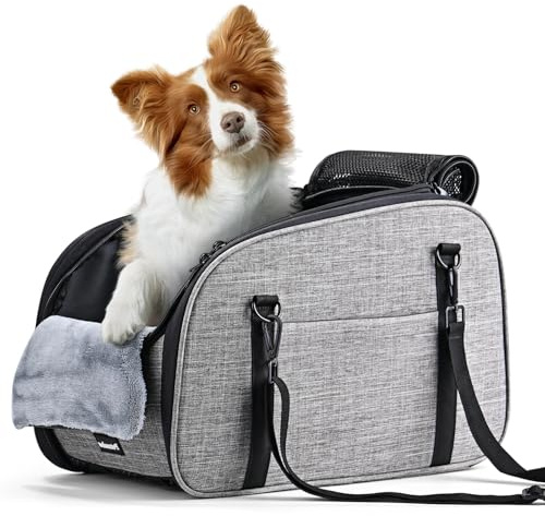 Petzauber Seggiolino Auto per Cani di Piccola Taglia e Gatti, Consolle Centrale Seggiolino Auto Cane con Doppia Cintura di Sicurezza e Fondo Antiscivolo, Cuscino Lavabile, Borsa Portaoggetti, Grigio