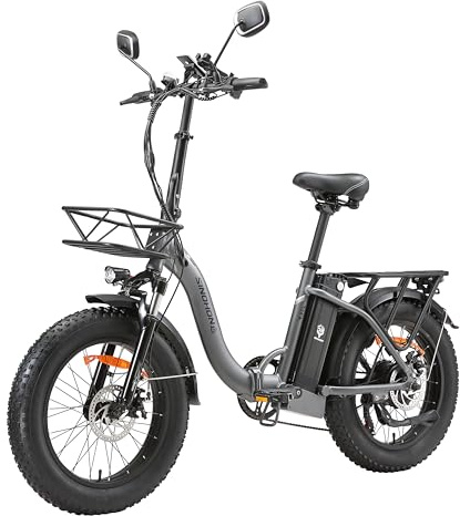 KIMDYMA B20 Bici Elettrica Pieghévole - 250W Conforme, Batteria 48V 15Ah, 100km Autonomia, Pneumatici 20×4.0 Fat (Grigio)