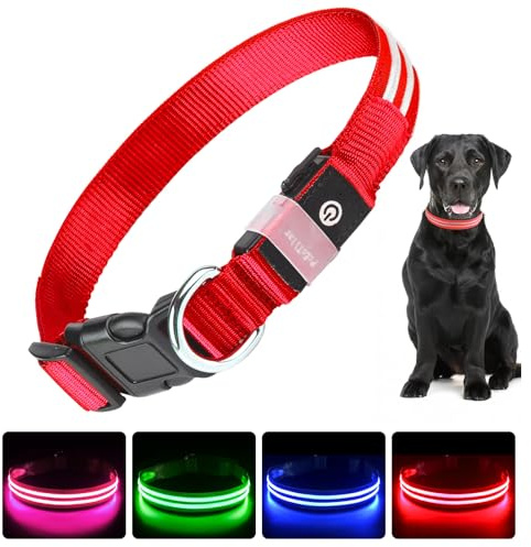 PcEoTllar Collar LED USB Recargable y Impermeable para Perros - 3 Modos, Tamaño Ajustable, Seguridad Nocturna