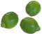 Limetten Lebensmittel-Attrappe 7 x 11 cm 3 STK. Fake Limetten Deko Zitrusfrucht naturgetreue Limetten am Stück