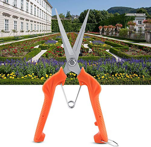 Cabeza Recta Alargada, Manija de Naranja de Acero Inoxidable Serration Serration de Acero Inoxidable Secateurs y Tijeras de Poda Tijera para Recolección de Manos de Acero