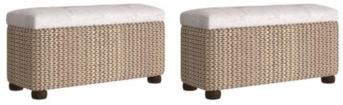 vidaXL Lot de 2 Bancs de Rangement avec Coussin, Bout de Lit, Sièges de Couloir Salon Salle de Séjour Entrée Intérieur, Gris Quenouille