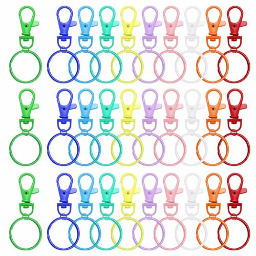 Mousqueton Porte Clé,30 Pièces Anneau Porte Clef,Anneaux Porte Clé,Anneau Porte Clé,Porte Cles,Attache Porte Clé pour Bijoux DIY Décoratio (30)