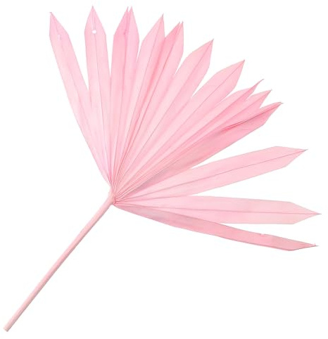 ARTIBETTER Decorazione da Appendere alla Parete Foglie di Palma Secche Rosa Materiale per Composizioni Floreali e Ornamento Artistico per Matrimoni e Arredamento Casa