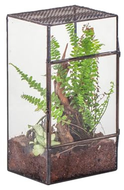 NCYP Glass Terrarium with Door and Mesh for Small Insects - 5.1 x 3.9 x 9 Inches Rectangle Reptile Habitat, Black - Modern Home Tabletop Decor (Terrarium Only)