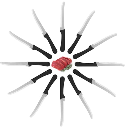 Maxentico Set di 12 coltelli da cucina da tavola, set coltelli da tavola in Acciaio Inossidabile, coltello pane professionali, coltello cucina knife set, coltello seghettato, lama da 12.5 cm, Nero