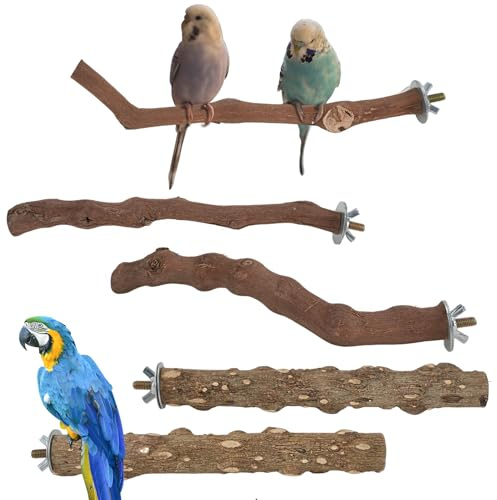 QZDAFFIC 5PCS Parrot Perches Bird Stand, Natural Wood Parrot Stand Platform for Indoor, Small Birds Feeder Pole Budgie Toys, Paw Grinding Chewing Stick Birdcage Accessory for Cockatiel Parakeet
