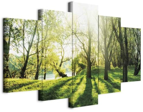 B&D XL - Quadro Acustico Natura Alberi 5 pezzi schiuma acustica Quadri Moderni Grandi - Camera da Letto Matrimoniale - Stampa su Tela Protezione dai Rumori - Insonorizzati - Fonoassorbente