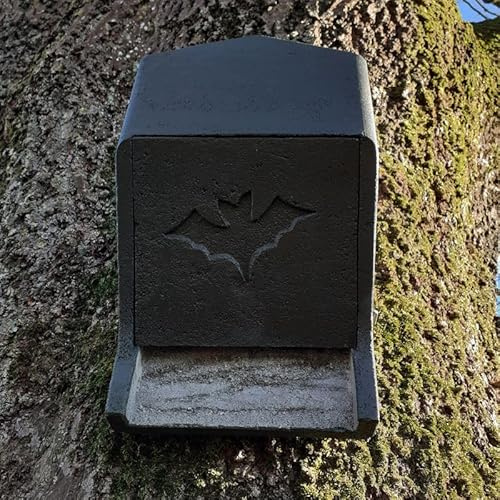 HASSELFELDT Fledermaus Großraumkasten universal aus Holzbeton | Wetterfest | Fledermausquartier | Fledermauswochenstube | Höhle | Sommerquartier| Fledermauskasten| Fledermaus-Haus| Selbstreinigend