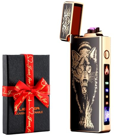 dachance Elektrisches Feuerzeug, Batterieanzeige, USB, Plasma, wiederaufladbar, winddicht & ohne Flamme, Doppelbogen-Feuerzeug mit Batterieanzeige für Kerzen/Grill (Loup)