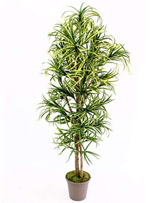 Yucca konstpalm mini med 672 textilfiber blad grön gul 175 cm hög, naturstam, Konstgjorda Växter