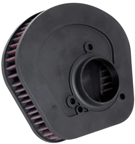 K&N Filtro Aria di ricambio compatibile con Harley Davidson FXLR Low Rider & FXFB Fat Bob 2018 (HD-1718)