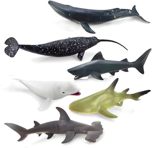 SoeUyd 6 Pezzis Modelli di Animali Squalo, Animali Marini per Bambini, Modello Giocattolo Marino, Squalo Giocattolo 12-14 CM, Giocattolos Squalos per Bambini, Adatto per Giocare o da Esporre
