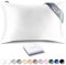 RENESSY Premium Silk Pillowcase 100% Organic Mulberry Silk, 22 Momme, Grade 6A - Oeko-Tex Certified in Germany - Luxury for Hair & Skin, 1 Piece (Standard 50x75 cm, White)
