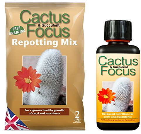 GREENLIGHT GUYS Cactus Focus 2 Litre Repotting Mix & 300ml Feed
