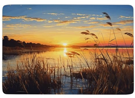 Reeds by The River Large Area Rug - 60 * 40 Inch.Large Anti-Slip Hard Floor Protector Chair Mat.Floor Mats Ultra Soft Coral Fleece for Bedroom Indoor Floor, Aesthetic Carpet for Home