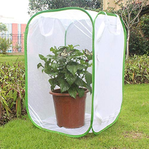 Rete per Insetti per Piante, 60 * 90 Cm Rete a Prova di Insetti per Piante Gabbia per Animali Gabbia per Animali Gabbia per Piantine Incubatrice Leggera Accessori per Terrari